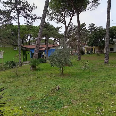 Nelson Ninoska Lignano Sabbiadoro