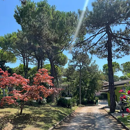 Nelson Ninoska Appartement *